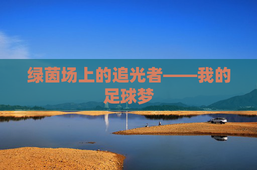 绿茵场上的追光者——我的足球梦 绿茵场上的追光者——我的足球梦