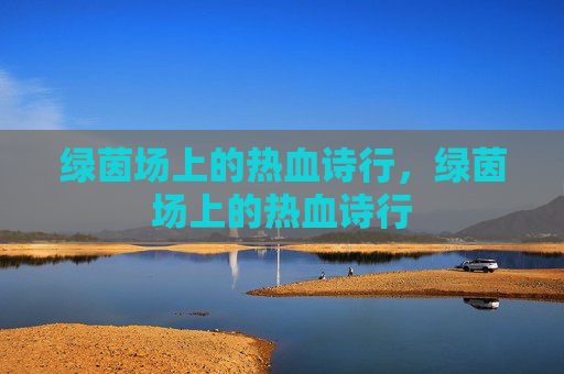 绿茵场上的热血诗行，绿茵场上的热血诗行