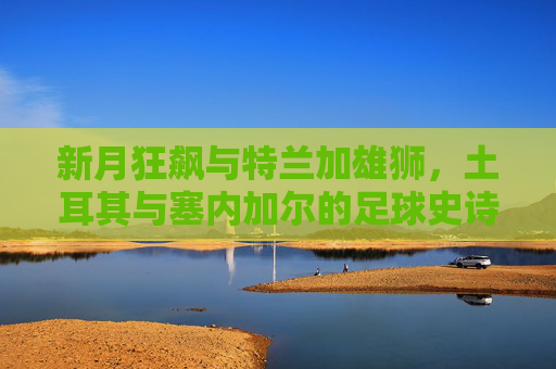 新月狂飙与特兰加雄狮,土耳其与塞内加尔的足球史诗 新月狂飙与特兰加雄狮,土耳其与塞内加尔的足球史诗