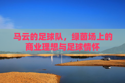 马云的足球队,绿茵场上的商业理想与足球情怀 马云的足球队,绿茵场上的商业理想与足球情怀
