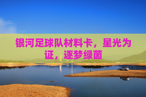 银河足球队材料卡,星光为证,逐梦绿茵 银河足球队材料卡,星光为证,逐梦绿茵