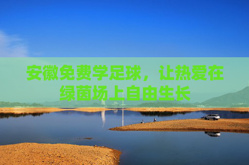 安徽免费学足球,让热爱在绿茵场上自由生长 安徽免费学足球,让热爱在绿茵场上自由生长