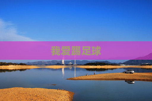 我爱踢足球 我爱踢足球