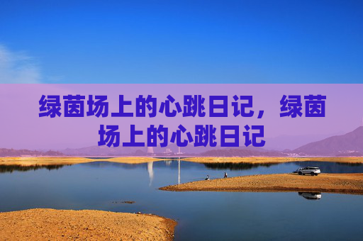 绿茵场上的心跳日记，绿茵场上的心跳日记