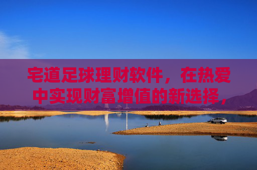 宅道足球理财软件，在热爱中实现财富增值的新选择，宅道足球理财，热爱驱动，财富增值新选择