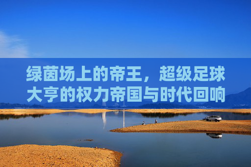 绿茵场上的帝王,超级足球大亨的权力帝国与时代回响 绿茵场上的帝王,超级足球大亨的权力帝国与时代回响