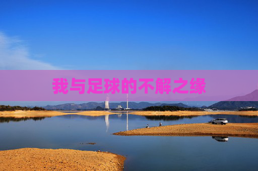 我与足球的不解之缘 我与足球的不解之缘