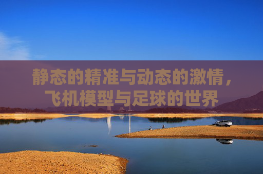 静态的精准与动态的激情，飞机模型与足球的世界