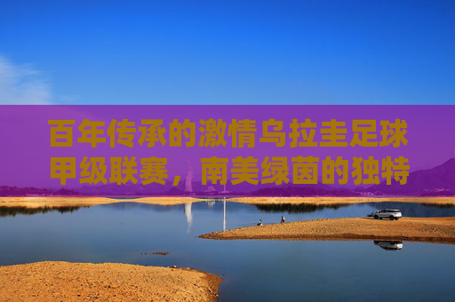 百年传承的激情乌拉圭足球甲级联赛,南美绿茵的独特魅力 百年传承的激情乌拉圭足球甲级联赛,南美绿茵的独特魅力