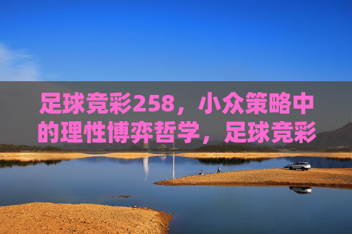 足球竞彩258，小众策略中的理性博弈哲学，足球竞彩258，小众策略中的理性博弈哲学