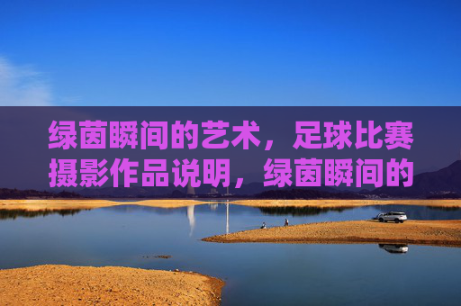 绿茵瞬间的艺术，足球比赛摄影作品说明，绿茵瞬间的艺术，足球比赛摄影作品说明