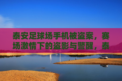 泰安足球场手机被盗案，赛场激情下的盗影与警醒，泰安足球场手机被盗案，赛场激情下的盗影与警醒