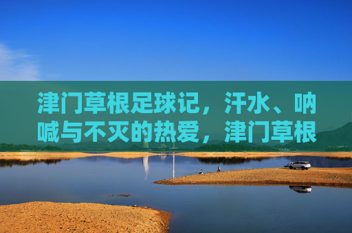津门草根足球记，汗水、呐喊与不灭的热爱，津门草根，汗水呐喊，热爱不灭