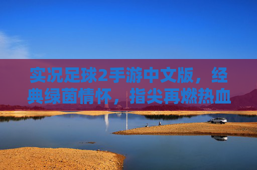 实况足球2手游中文版，经典绿茵情怀，指尖再燃热血，实况足球2手游中文版，指尖再燃经典绿茵热血