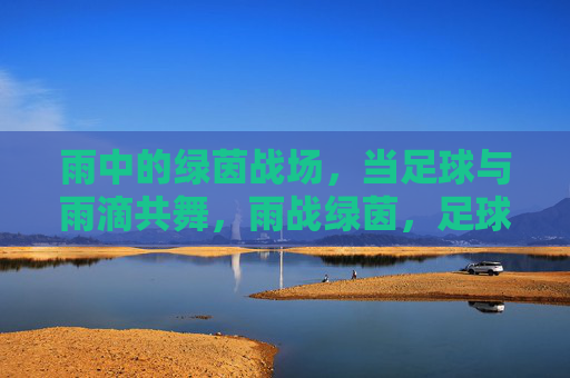 雨中的绿茵战场，当足球与雨滴共舞，雨战绿茵，足球与雨滴共舞