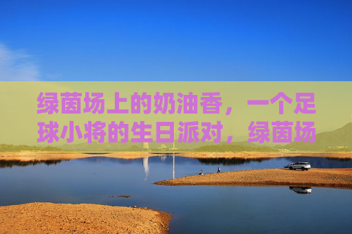 绿茵场上的奶油香,一个足球小将的生日派对,绿茵场上的奶油香,足球小将的生日派对 绿茵场上的奶油香,一个足球小将的生日派对,绿茵场上的奶油香,足球小将的生日派对
