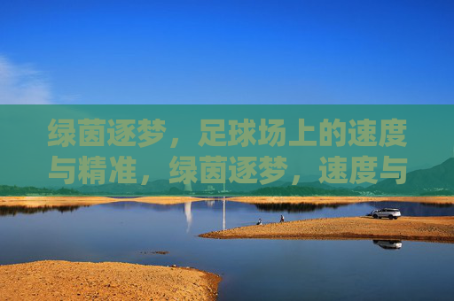 绿茵逐梦，足球场上的速度与精准，绿茵逐梦，速度与精准的赛场锋芒