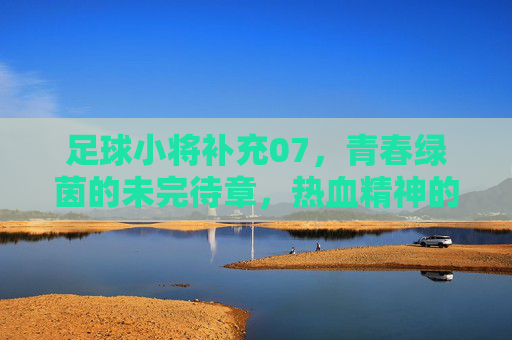 足球小将补充07，青春绿茵的未完待章，热血精神的世纪回响