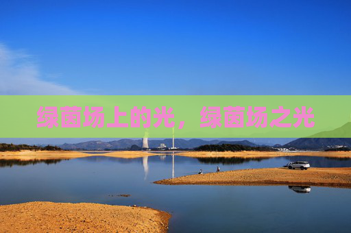 绿茵场上的光，绿茵场之光