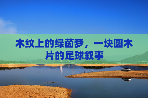 木纹上的绿茵梦,一块圆木片的足球叙事 木纹上的绿茵梦,一块圆木片的足球叙事