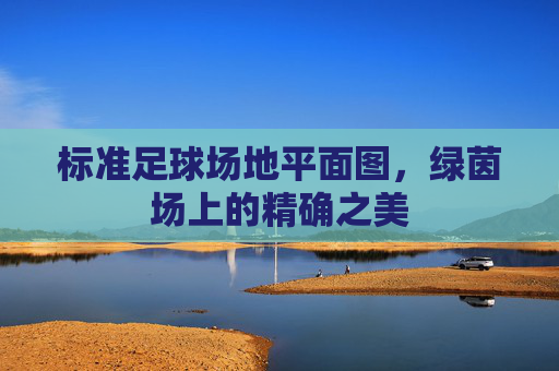 标准足球场地平面图，绿茵场上的精确之美