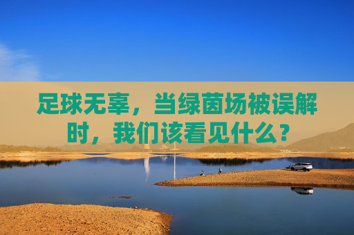 足球无辜，当绿茵场被误解时，我们该看见什么？