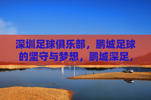 深圳足球俱乐部，鹏城足球的坚守与梦想，鹏城深足，坚守与梦想的足尖征途