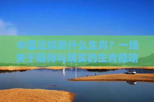中国足球属什么生肖?一场关于期待与现实的生肖隐喻,中国足球,生肖隐喻中的期待与现实 中国足球属什么生肖?一场关于期待与现实的生肖隐喻,中国足球,生肖隐喻中的期待与现实