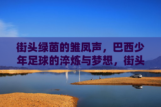 街头绿茵的雏凤声，巴西少年足球的淬炼与梦想，街头雏凤声，巴西少年足球的淬炼与梦想