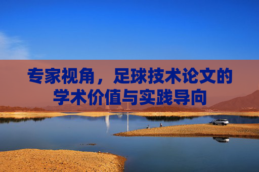 专家视角，足球技术论文的学术价值与实践导向