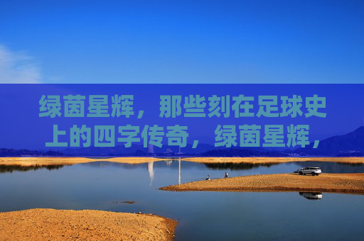 绿茵星辉,那些刻在足球史上的四字传奇,绿茵星辉,刻在足球史上的四字传奇 绿茵星辉,那些刻在足球史上的四字传奇,绿茵星辉,刻在足球史上的四字传奇