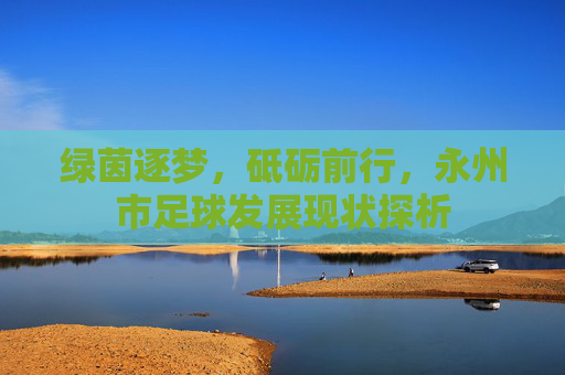 绿茵逐梦,砥砺前行,永州市足球发展现状探析 绿茵逐梦,砥砺前行,永州市足球发展现状探析