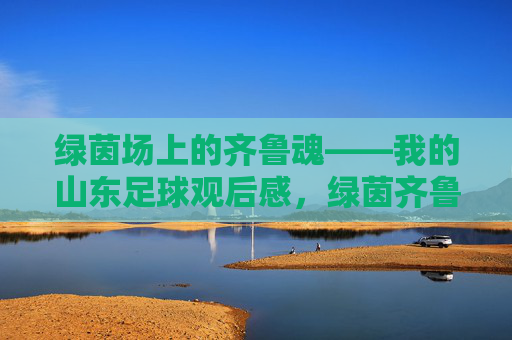 绿茵场上的齐鲁魂——我的山东足球观后感，绿茵齐鲁魂，山东足球印象