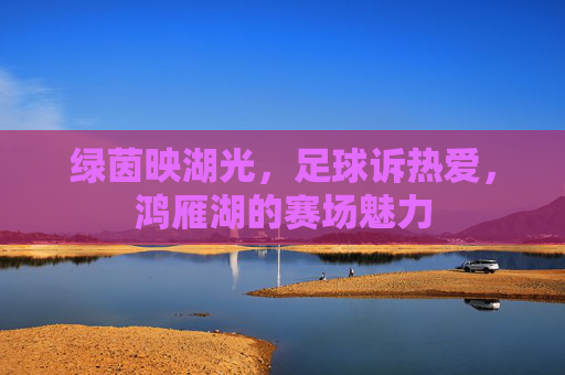 绿茵映湖光，足球诉热爱，鸿雁湖的赛场魅力