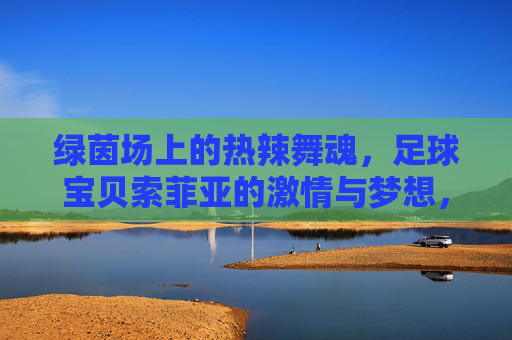 绿茵场上的热辣舞魂，足球宝贝索菲亚的激情与梦想，绿茵场上的热辣舞魂，足球宝贝索菲亚的激情与梦想