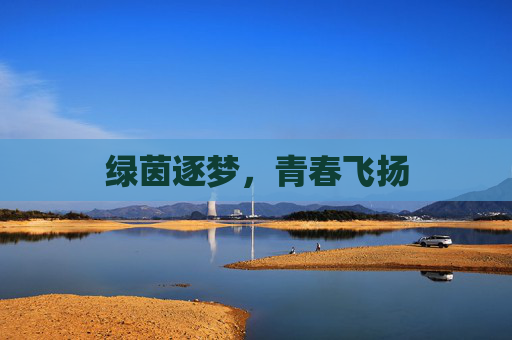 绿茵逐梦，青春飞扬