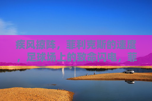 疾风掠阵,菲利克斯的速度,足球场上的致命闪电,菲利克斯,疾风掠阵,足球场上的致命闪电 疾风掠阵,菲利克斯的速度,足球场上的致命闪电,菲利克斯,疾风掠阵,足球场上的致命闪电