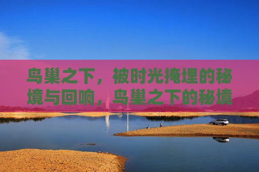 鸟巢之下,被时光掩埋的秘境与回响,鸟巢之下的秘境与时光回响 鸟巢之下,被时光掩埋的秘境与回响,鸟巢之下的秘境与时光回响