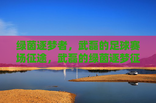 绿茵逐梦者，武磊的足球赛场征途，武磊的绿茵逐梦征途