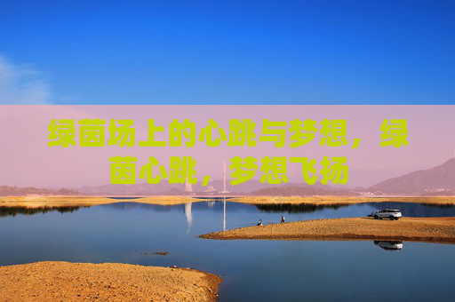 绿茵场上的心跳与梦想，绿茵心跳，梦想飞扬