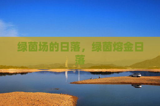 绿茵场的日落,绿茵熔金日落 绿茵场的日落,绿茵熔金日落