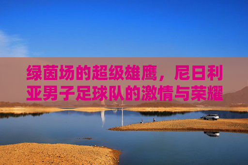 绿茵场的超级雄鹰,尼日利亚男子足球队的激情与荣耀 绿茵场的超级雄鹰,尼日利亚男子足球队的激情与荣耀