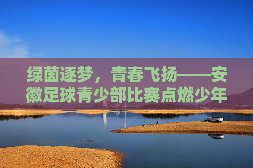 绿茵逐梦,青春飞扬——安徽足球青少部比赛点燃少年足球热情 绿茵逐梦,青春飞扬——安徽足球青少部比赛点燃少年足球热情