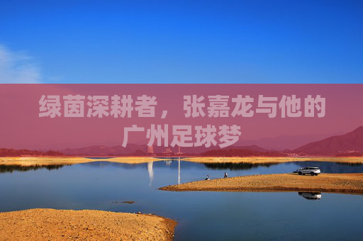 绿茵深耕者,张嘉龙与他的广州足球梦 绿茵深耕者,张嘉龙与他的广州足球梦