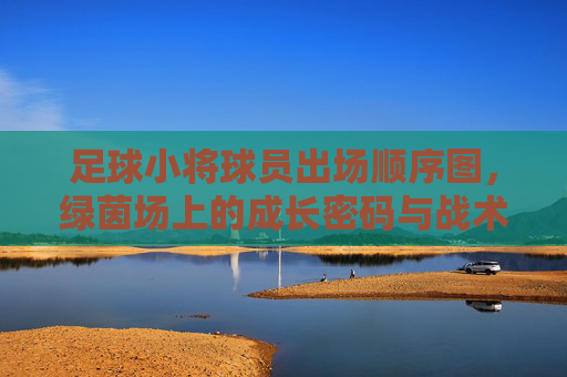 足球小将球员出场顺序图，绿茵场上的成长密码与战术诗篇，足球小将，出场顺序图里的成长密码与战术诗篇