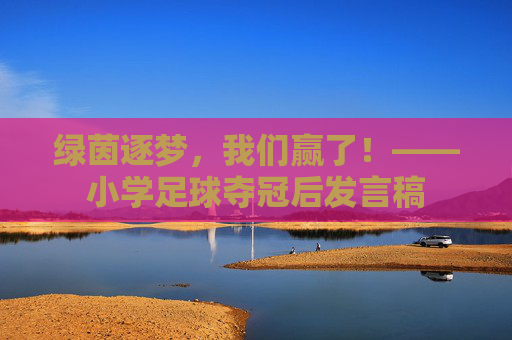 绿茵逐梦，我们赢了！——小学足球夺冠后发言稿
