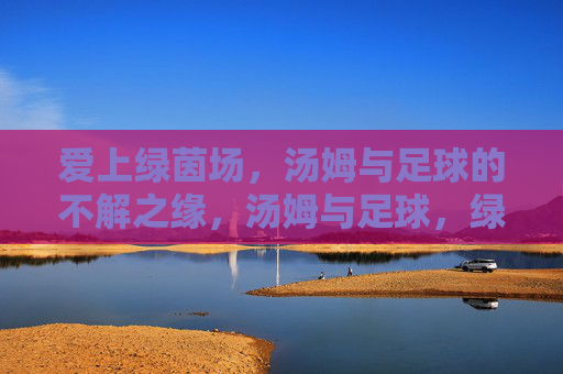爱上绿茵场，汤姆与足球的不解之缘，汤姆与足球，绿茵场的不解之缘