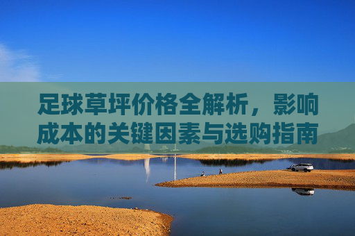 足球草坪价格全解析,影响成本的关键因素与选购指南 足球草坪价格全解析,影响成本的关键因素与选购指南