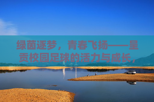 绿茵逐梦，青春飞扬——呈贡校园足球的活力与成长，呈贡校园足球，青春飞扬，活力成长