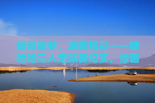绿茵逐梦,足够精彩——哇哈哈三人足球赛纪实,绿茵逐梦,哇哈哈三人足球赛纪实 绿茵逐梦,足够精彩——哇哈哈三人足球赛纪实,绿茵逐梦,哇哈哈三人足球赛纪实
